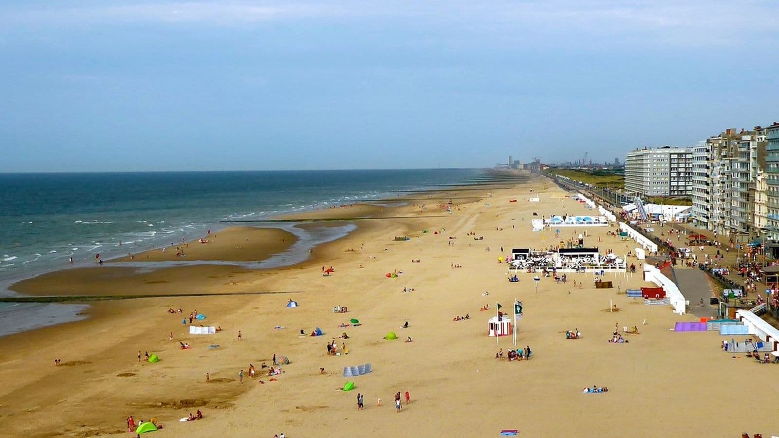 de beste surfspots van belgie
