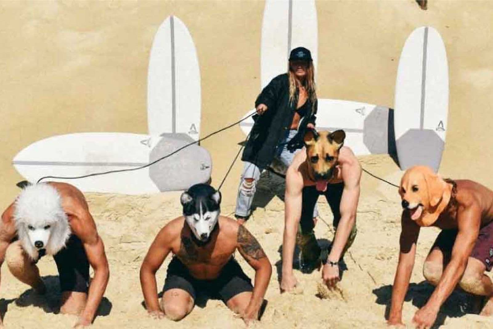 softdog surfboards