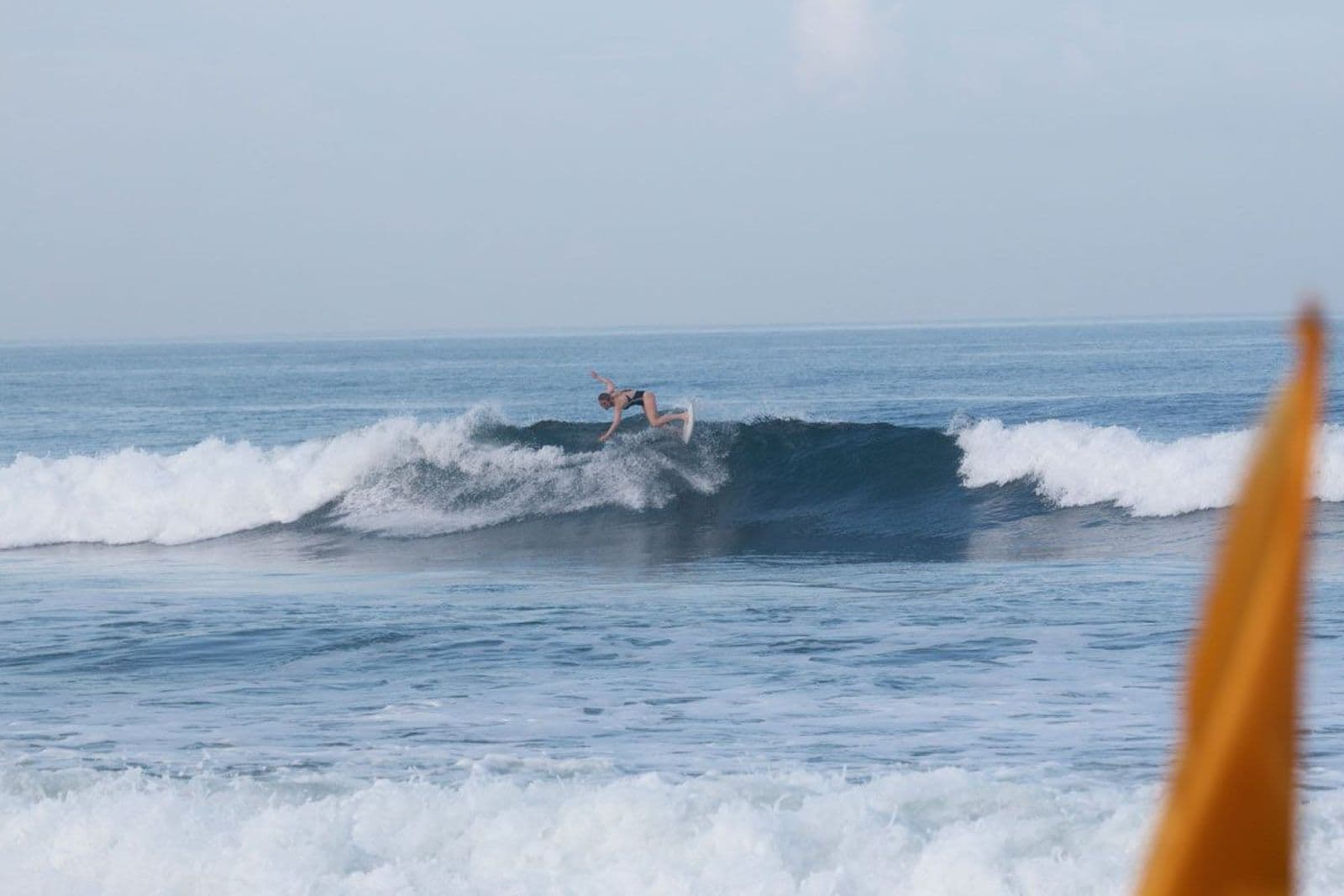 Pro Surf Team: Puck