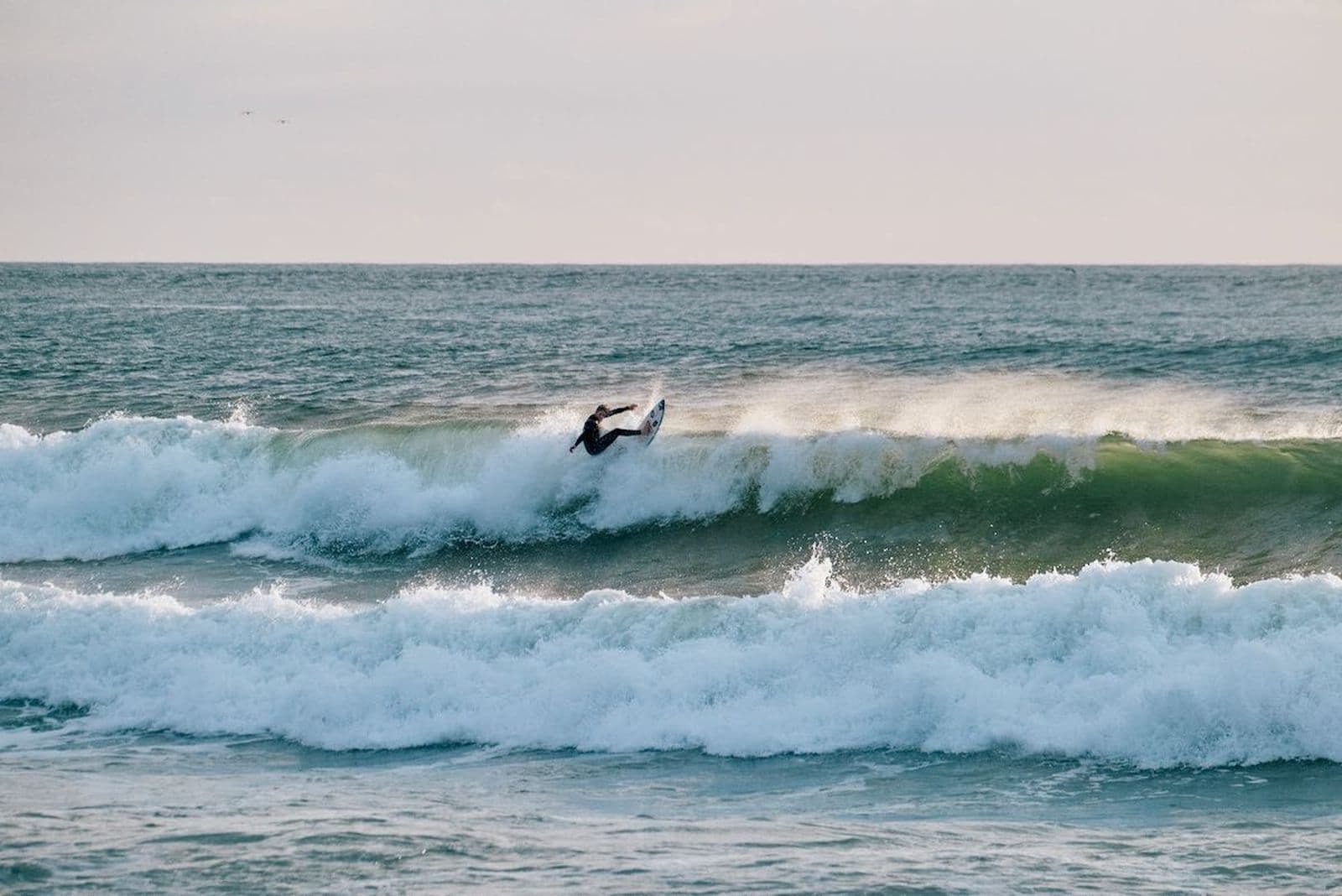 Surfblend reviews